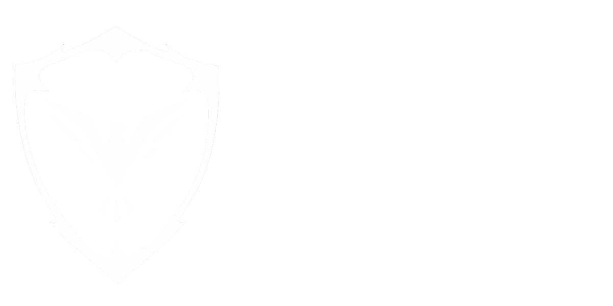 Falconer Security